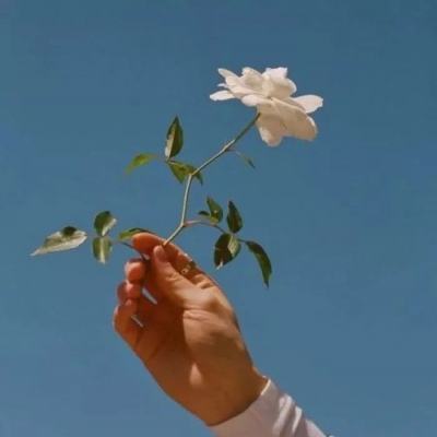 西游争霸单机版下载